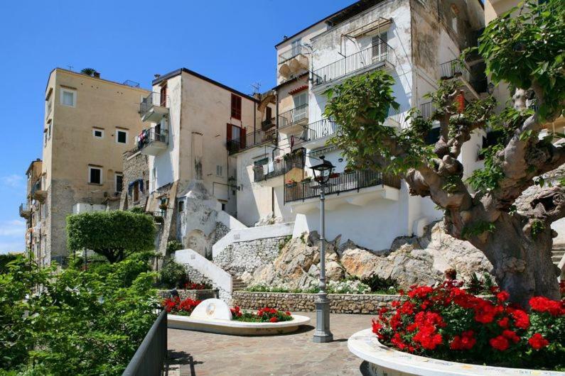 Casa Susy Bouganville 400 Mt Dal Mare Sperlonga Exterior photo