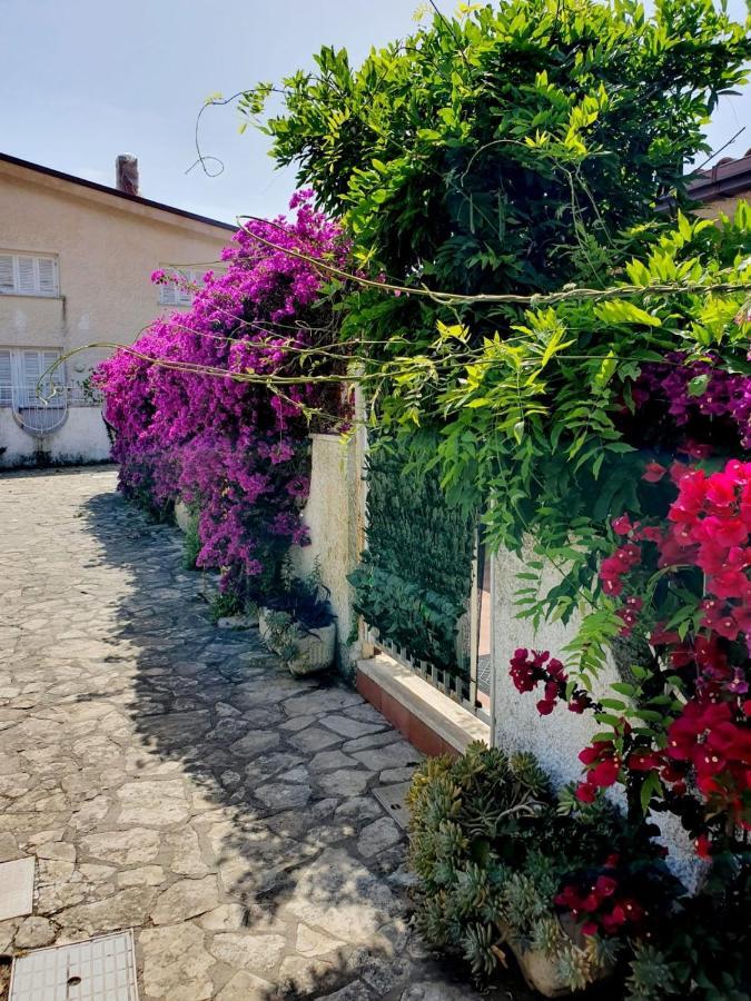 Casa Susy Bouganville 400 Mt Dal Mare Sperlonga Exterior photo